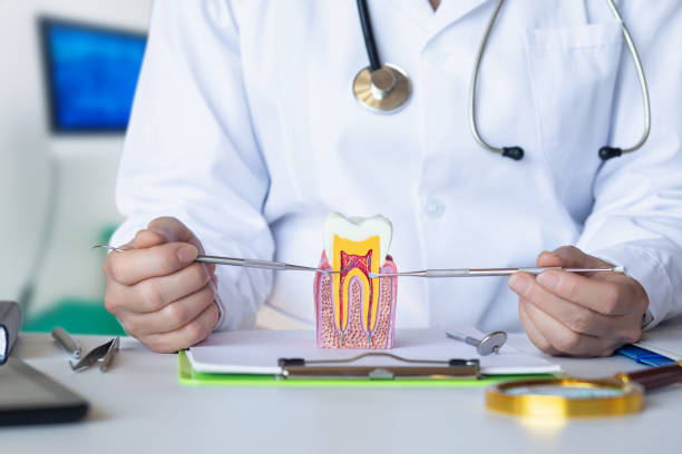 Best Urgent Care for Lost Fillings or Crowns in Port Byron, IL